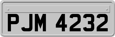 PJM4232