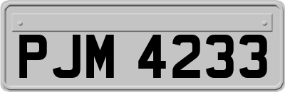 PJM4233