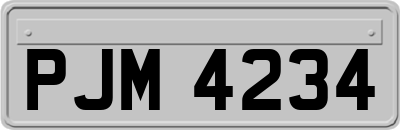 PJM4234