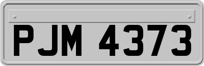PJM4373