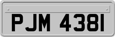 PJM4381