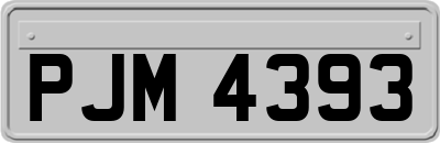 PJM4393