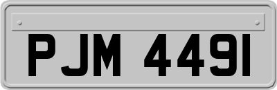PJM4491