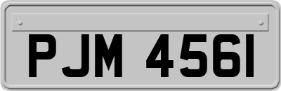 PJM4561