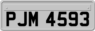 PJM4593