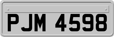 PJM4598
