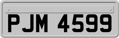 PJM4599