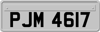 PJM4617