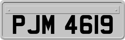 PJM4619
