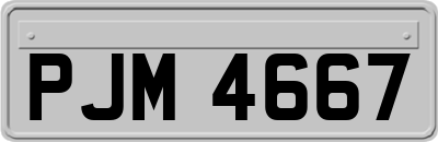 PJM4667