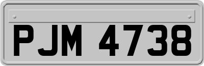 PJM4738