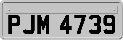 PJM4739