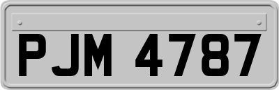 PJM4787