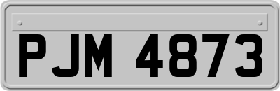PJM4873