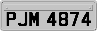 PJM4874