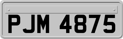 PJM4875