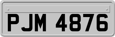 PJM4876
