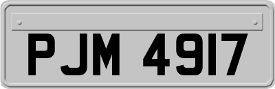 PJM4917