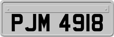 PJM4918
