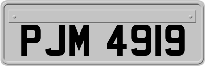 PJM4919