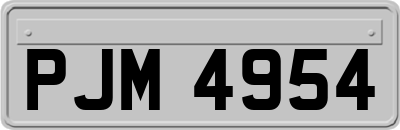 PJM4954