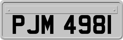 PJM4981