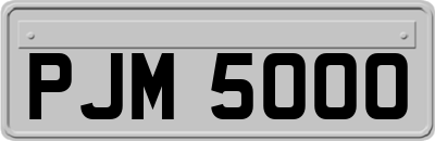 PJM5000