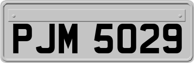 PJM5029
