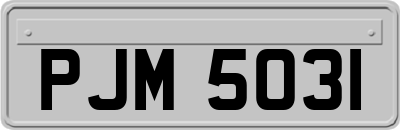 PJM5031
