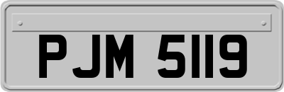 PJM5119