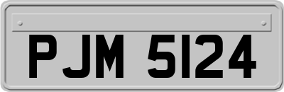 PJM5124