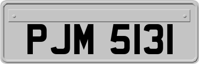 PJM5131
