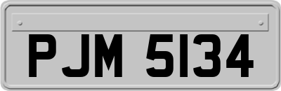 PJM5134