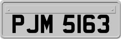 PJM5163