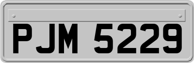 PJM5229