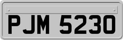 PJM5230
