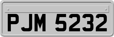 PJM5232