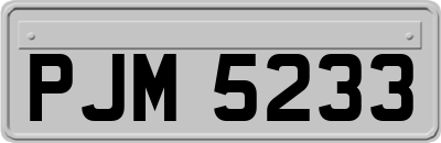 PJM5233