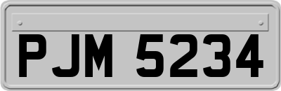 PJM5234