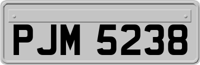 PJM5238