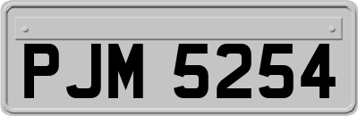 PJM5254