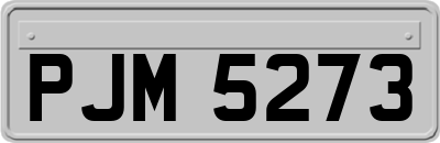 PJM5273