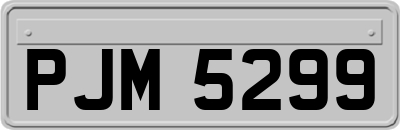 PJM5299