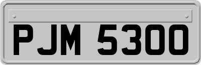 PJM5300