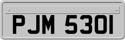 PJM5301