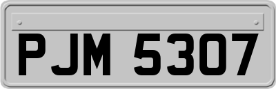 PJM5307