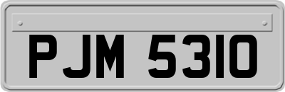 PJM5310