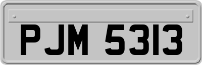 PJM5313