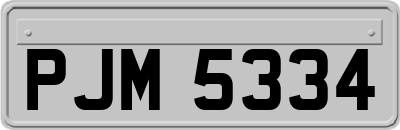 PJM5334