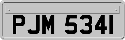 PJM5341